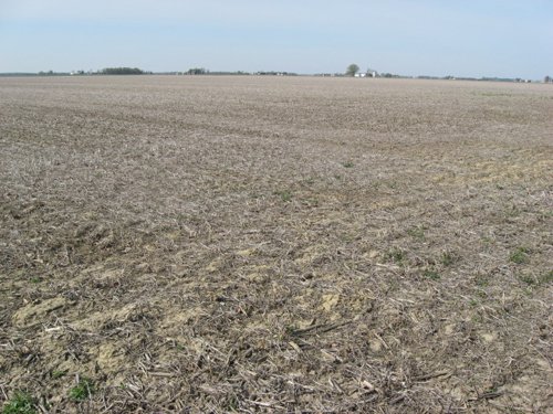 Property photo 2 - 172 Acres Offered in 3 Tracts - Prime Farmland